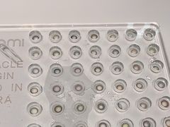 -miomi米欧米美瞳隐形眼镜(大兴荟聚店)