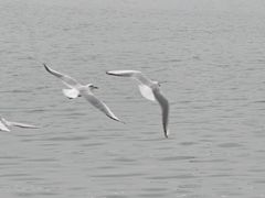 -蠡湖大桥公园