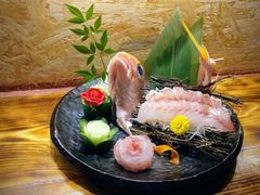 季节活鱼:&nbsp;樱鲷-矶野水产(澳门逸园中心店)
