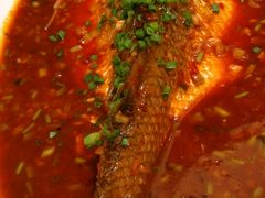 -小厨娘淮扬菜(板桥一店)