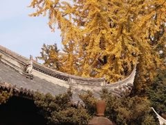 -龙华寺