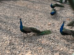 -南京金牛湖风景区