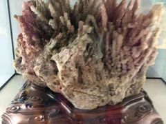 -房山世界地质公园博物馆