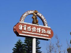 -自贡恐龙博物馆