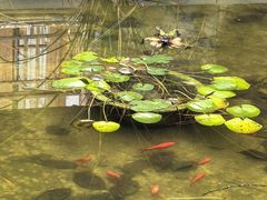 -仙店农庄(湖景农庄餐厅)