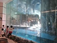 -帝企鹅自助餐厅•儿童岛•真企鹅(长隆企鹅酒店)