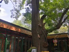 -白家大院·王府宫廷菜(苏州街店)