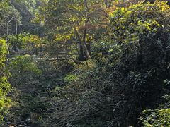 -天明山温泉大酒店