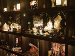 -雪灵魔法世界SHELLY’S TAROT(大良桂畔里店)
