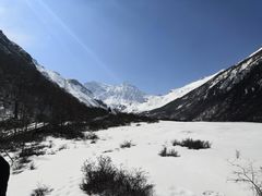 -黄龙山原始森林景区