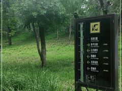 -元大都城垣遗址公园