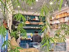 -半分甜(台柳路店)