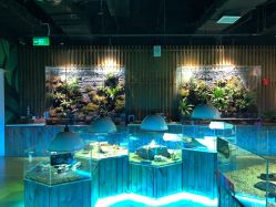 -七巧国萌宠乐园(龙湖天街店)
