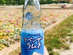 -富田农场