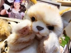 -正弘城