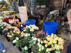 -循礼门鲜花花市(武汉循礼门店)