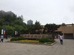 iphone_upload_pic-济南森林公园