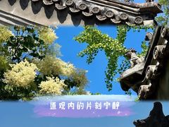 -白云观
