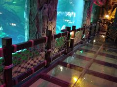 -华夏文旅海洋公园