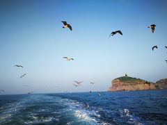 -海驴岛(荣成市)