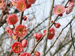 -渤公岛生态公园
