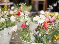 -重庆市奥林匹克体育中心-游泳跳水馆