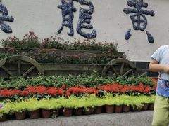 -黄龙溪古镇