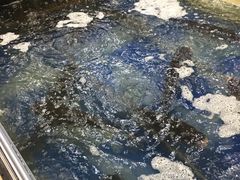 -雪野鱼头大王邢府公老店(雪野湖店)