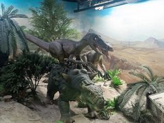 -国家自然博物馆