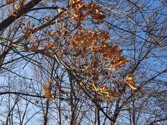 -青州市云门山风景区