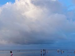 -南汇嘴观海公园