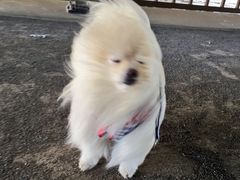 -海底捞火锅(银泰中心店)