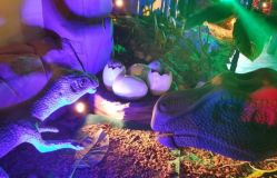 -恐龙探索乐园(磁器口店)