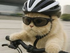 -荔园小馆(园岭新村二期店)