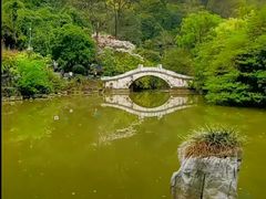 -黔灵山公园