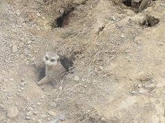 -佛冈森波拉度假区