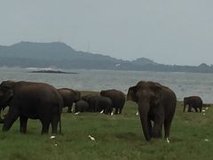 -米内日亚国家公园