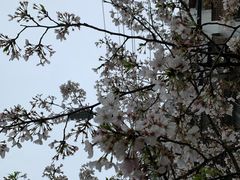 -沙市市中山公园