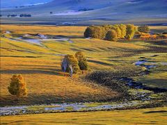 -塞罕坝国家级自然保护区