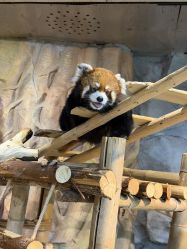 -Zoolung Zoolung动物主题公园(海信广场店)