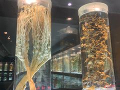 -广东中医药博物馆