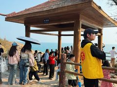 -广东惠东海龟国家级自然保护区