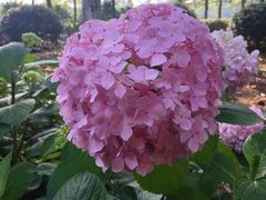 -白塘生态植物园