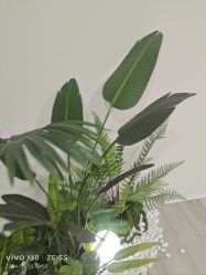 -HEYAN荷妍专业脱毛连锁机构