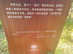 -华侨城湿地公园