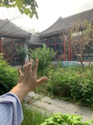 -北京市东城区妇幼保健院(北院区)