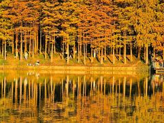 -莲花山公园