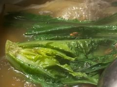 -百利鸽王(紫薇路店)