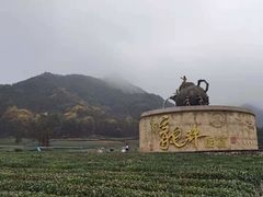 -听风阁农家私房菜茶楼(龙坞店)