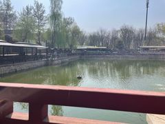 -尚庄度假村·庭台树下·户外烧烤·团建CS·轰趴营地(上庄水库店)